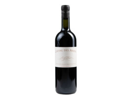 Cheval des Andes Rood 75cl 2019 Terrazas de los