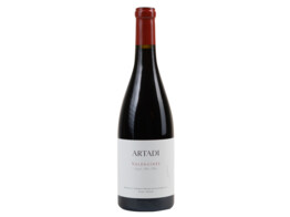 Valdegines Rood 75cl Artadi