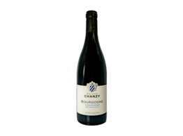 Bourgogne Pinot Noir  Clos Michaud  Rood 75cl 2021 Domaine Chanzy