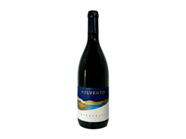 Polvento Rood 75cl 2019 Barberani