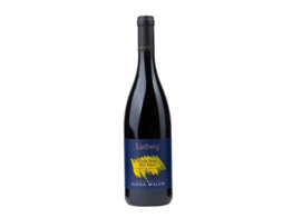 Pinot Nero  Ludwig  Rood 75cl 2019 Elena Walch