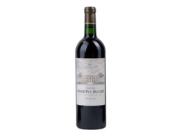 Chateau Grand-Puy Ducasse Rood 75cl 2020