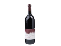 Filetta di Lamole Rood 75cl 2020 Fontodi