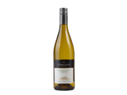 Chardonnay Wit 75cl 2021 Terrazas de los Andes