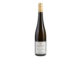 Riesling  Stein ad Donau  Wit 75cl 2019 Salomon Undhof