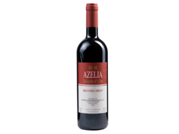 Dolcetto d Alba Bricco dell Oriolo Rood 75cl 2021 Azelia