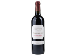 Chateau Fleur de Jean Gue Rood 75cl 2019