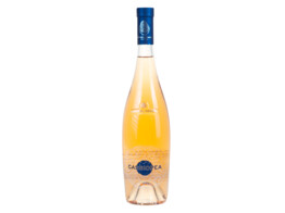 Cassiopea Rose 2024