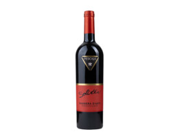 Soliter Barbera d Asti / Pescaja Red 2023