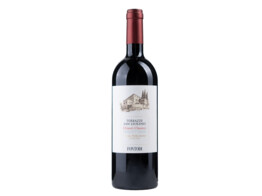 Terrazze San Leolino Rood 75cl 2021 Fontodi