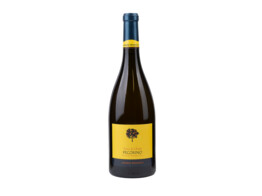 Pecorino Wit 75cl 2022 Umani Ronchi