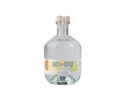 Citrus Gin 40  70cl 5GB